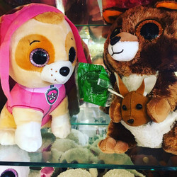 22861716_765562350282127_365424591839916